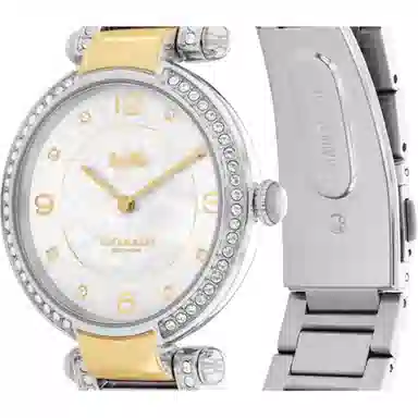 COACHCARY 34mm 30 14503833