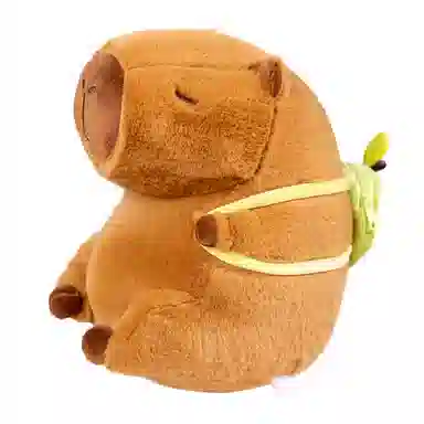 12cm30cm40cm50cm