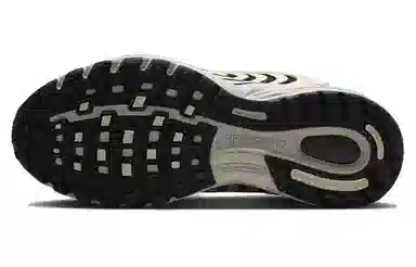 Nike Air Pegasus 2005