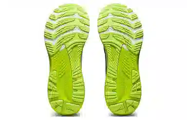 Asics GEL-KAYANO 29