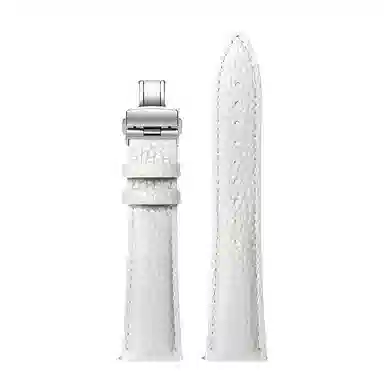FZRTgt4gt3watch4pro3probudsgt2pro GT Runner 2022mm