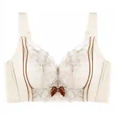 芬腾 小胸聚拢显大收副乳调整型矫正防下垂防外扩文胸 女款