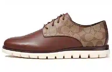 COACH Hybrid