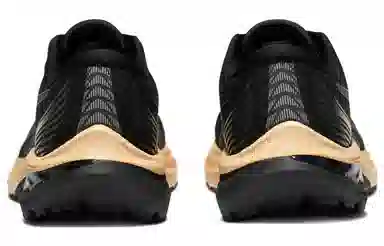 Asics GT-2000 11 Lite Show