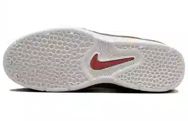 Nike SB Vertebrae "Bison"