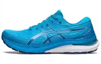 Asics GEL-KAYANO 29 Blue White