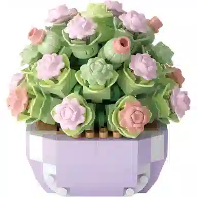 Brangdy 529pcs BRA-JM-1