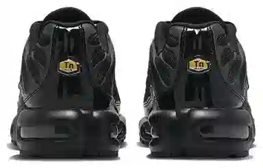 Nike Air Max Plus Black