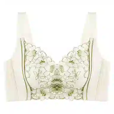 芬腾 小胸聚拢显大收副乳调整型矫正防下垂防外扩文胸 女款