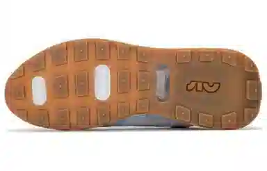 Nike Air Max Pre-Day Voodoo White