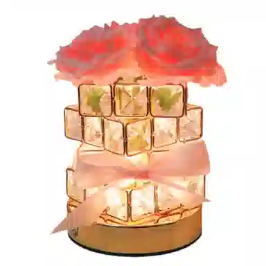 胖胖龙 玫瑰花魔方氛围台灯 永生花小夜灯 玩具