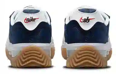 Nike BRSB