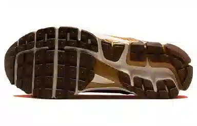 Nike Air Zoom Vomero 5 "Wheat Grass and Cacao Wow"