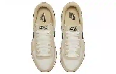 Nike Air Pegasus SE