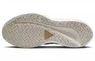 Nike Zoom Winflo 9 Shield
