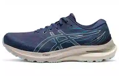 Asics GEL-KAYANO 29 Blue