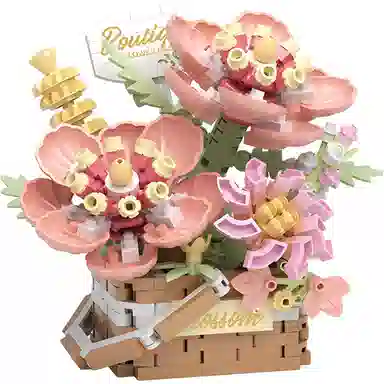 Brangdy 529pcs BRA-JM-1