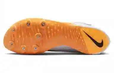 Nike Air Zoom LJ Elite