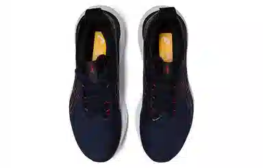 Asics GEL-Nimbus 25
