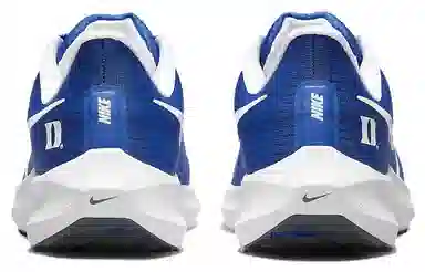 Nike Air Zoom Pegasus 39