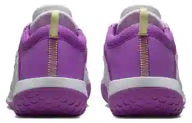 Nike Zoom Court NXT HC
