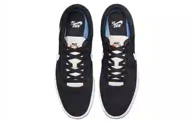 Nike SB Chron
