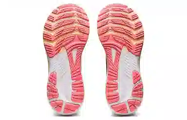 Asics GEL-KAYANO 29 D