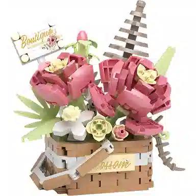 Brangdy 529pcs BRA-JM-1