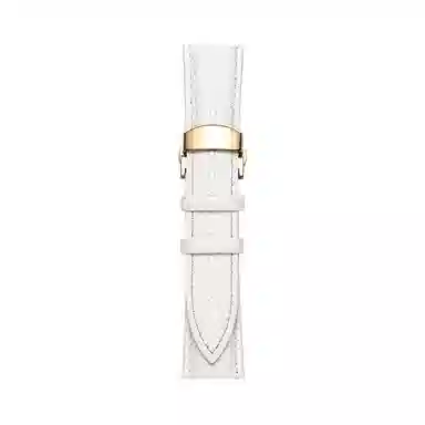 biaodaige vivowatch3vivowatch2watch GT