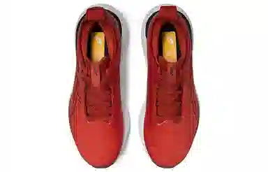 Asics GEL-Nimbus 25