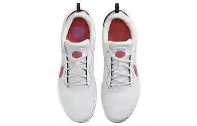 Nike Court Zoom Pro