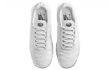 Nike Air Max Plus White