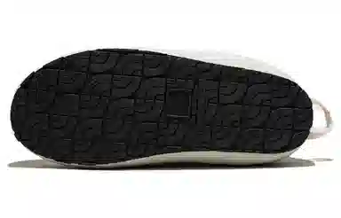 KAWS THE NORTH FACE