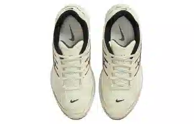 Nike Air Pegasus 2005