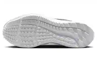 Nike Air Zoom Pegasus 39 Premium