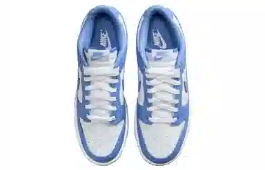 Nike Dunk Low "Polar Blue"
