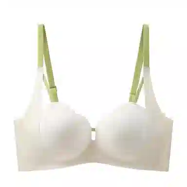 黛尔佳人 无痕聚拢简约亲肤文胸 女款