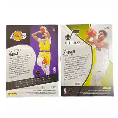 PANINI 7099 + 4199 2