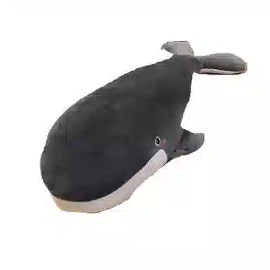 50cm80cm100cm120cm150cm