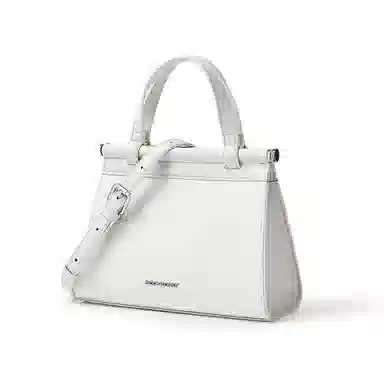 红蜻蜓 时尚蜥蜴纹女士小包包通勤手提包女式斜挎包女包 牛皮