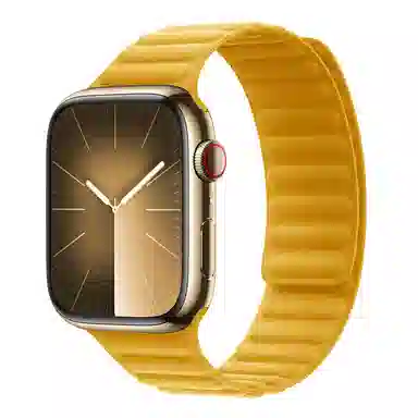 Akkerds Apple Watch