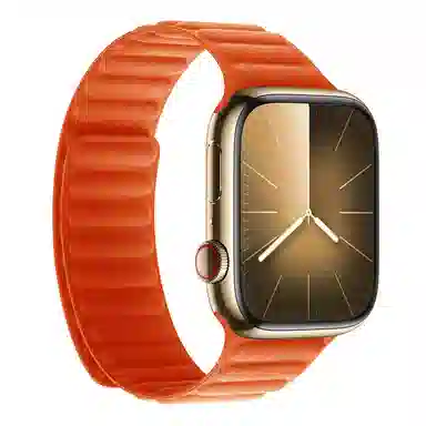 Akkerds Apple Watch
