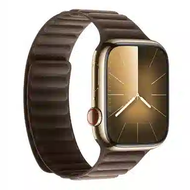 Akkerds Apple Watch