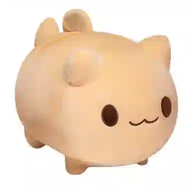 20cm25cm