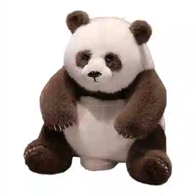 34cm