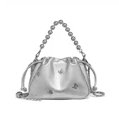 红蜻蜓 校园风时尚学生包高级感金属质感时尚百搭洋气高街风 牛皮 斜挎包 常规 女款 银色