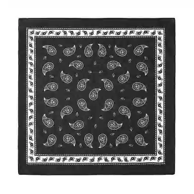 Hot Time Cotton Bandana Paisley Hip Hop