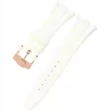 VickitGA2100 GA2110 GAB2100 18mm