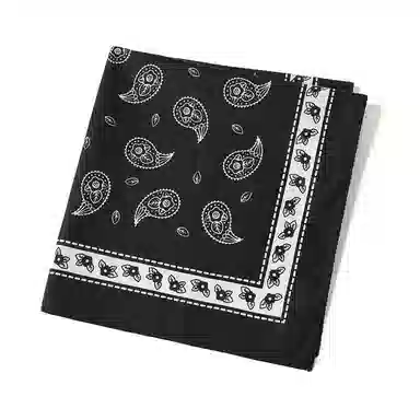 Hot Time Cotton Bandana Paisley Hip Hop