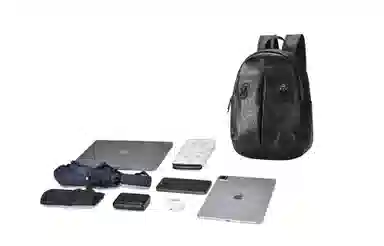 Chusan Black Lion Backpack